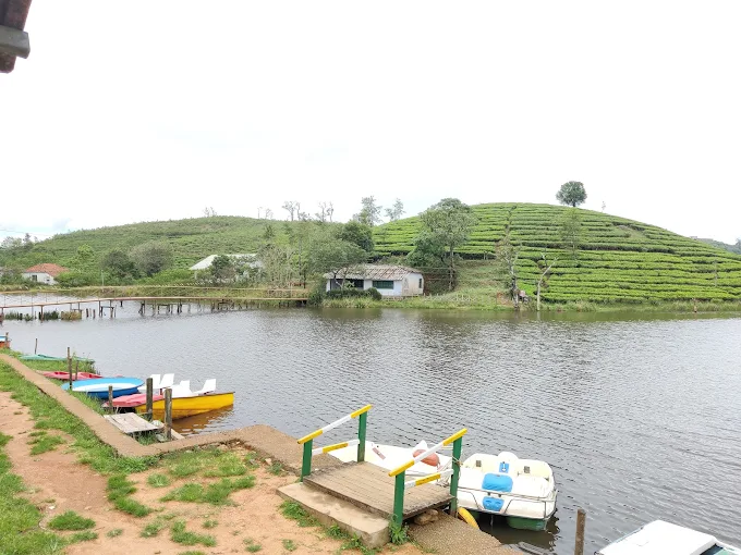Vagamon Meadows Lake